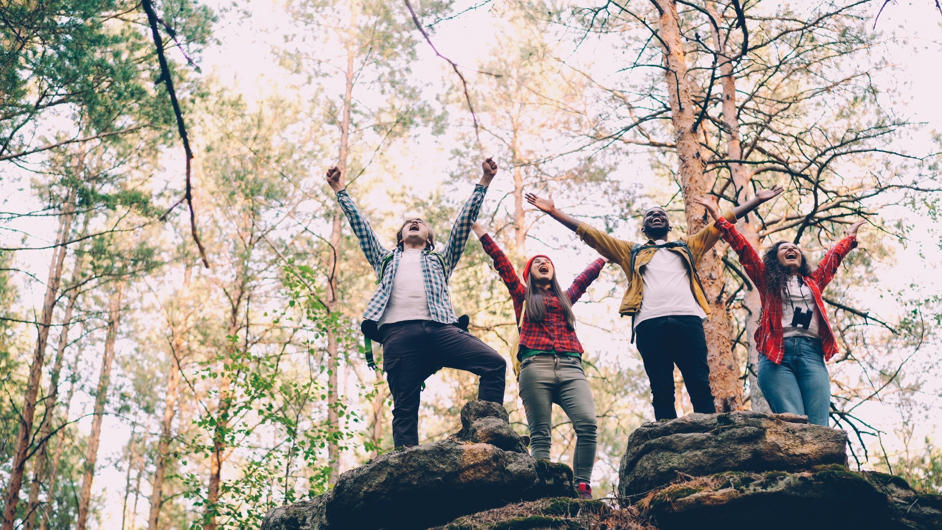 A group of four friends celebrating on rocks in a sunlit forest
